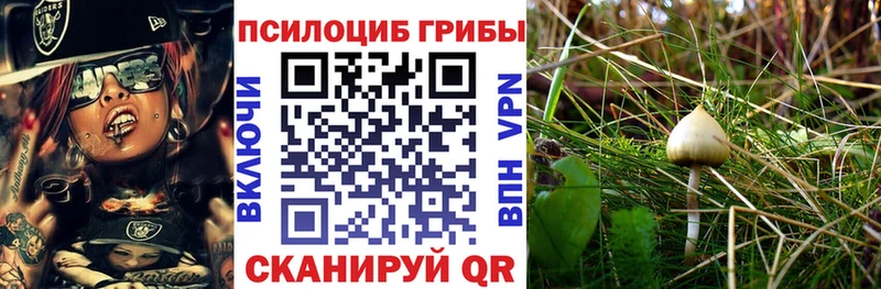 Галлюциногенные грибы MAGIC MUSHROOMS  MEGA зеркало  Сысерть 
